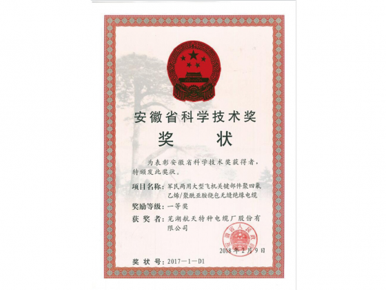 安徽省科學(xué)技術(shù)一等獎獎狀